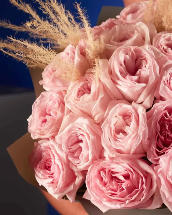 PINK OHARA LOVE superb 2