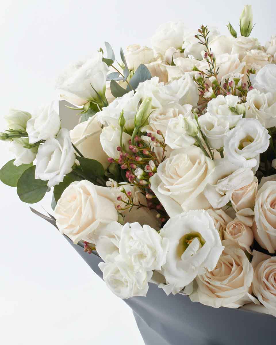 PURITY SUPERB JUNE 10, 2023 PURITY SUPERB JUNE 10, 2023