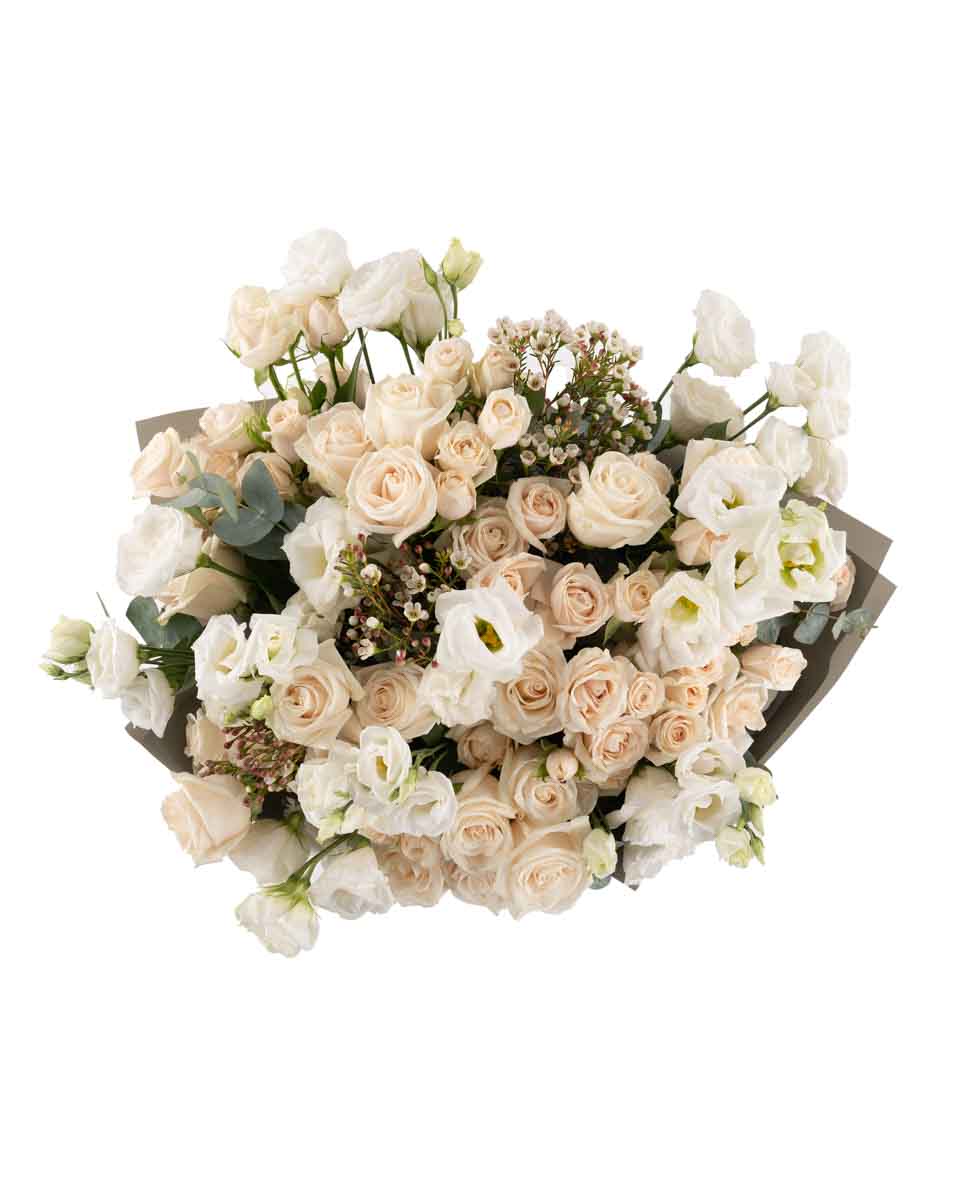 PURITY SUPERB JUNE 10, 2023 top PURITY SUPERB JUNE 10, 2023 top