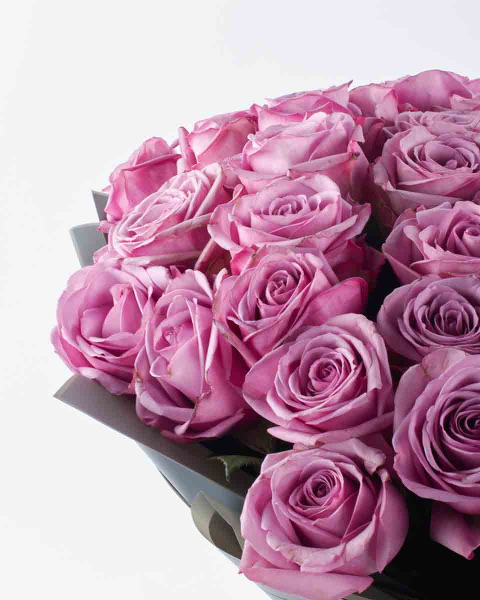 PURPLE KISSES SUPERB JUNE 9, 2023