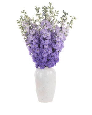 PURPLE LOVER JUNE 2, 2023 20