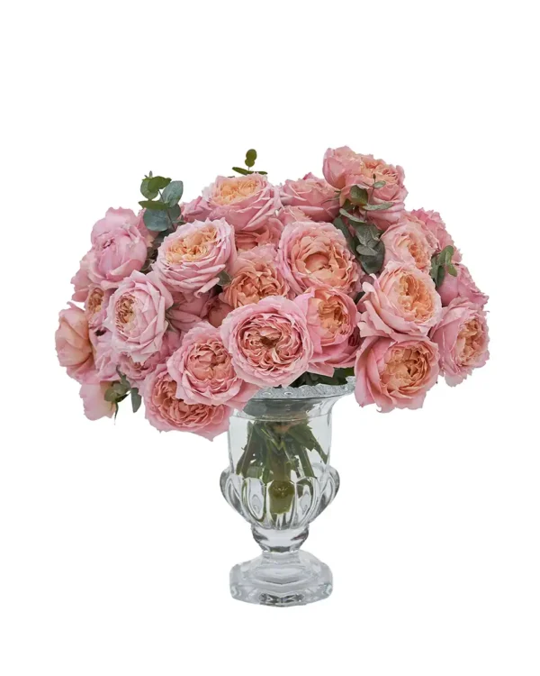 Peach In Love Small 2026