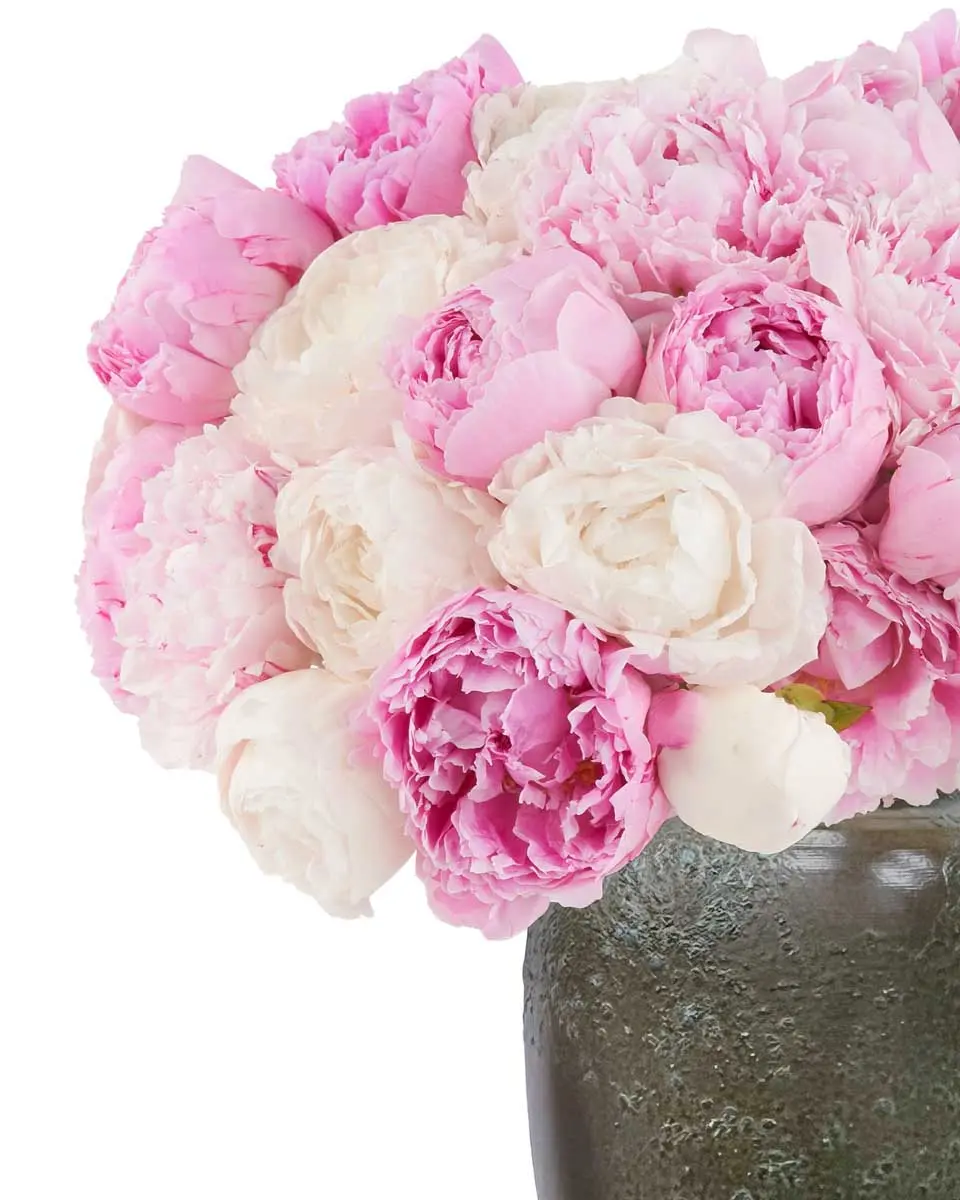Peony Hues JUNE 15 2023 4 Peony Hues JUNE 15 2023 4