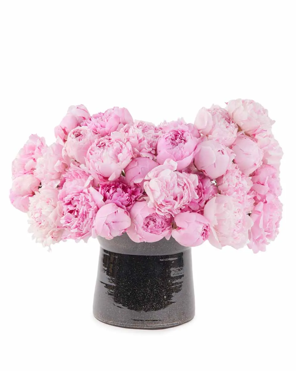 Peony Story JUNE 15 2023 Peony Story JUNE 15 2023