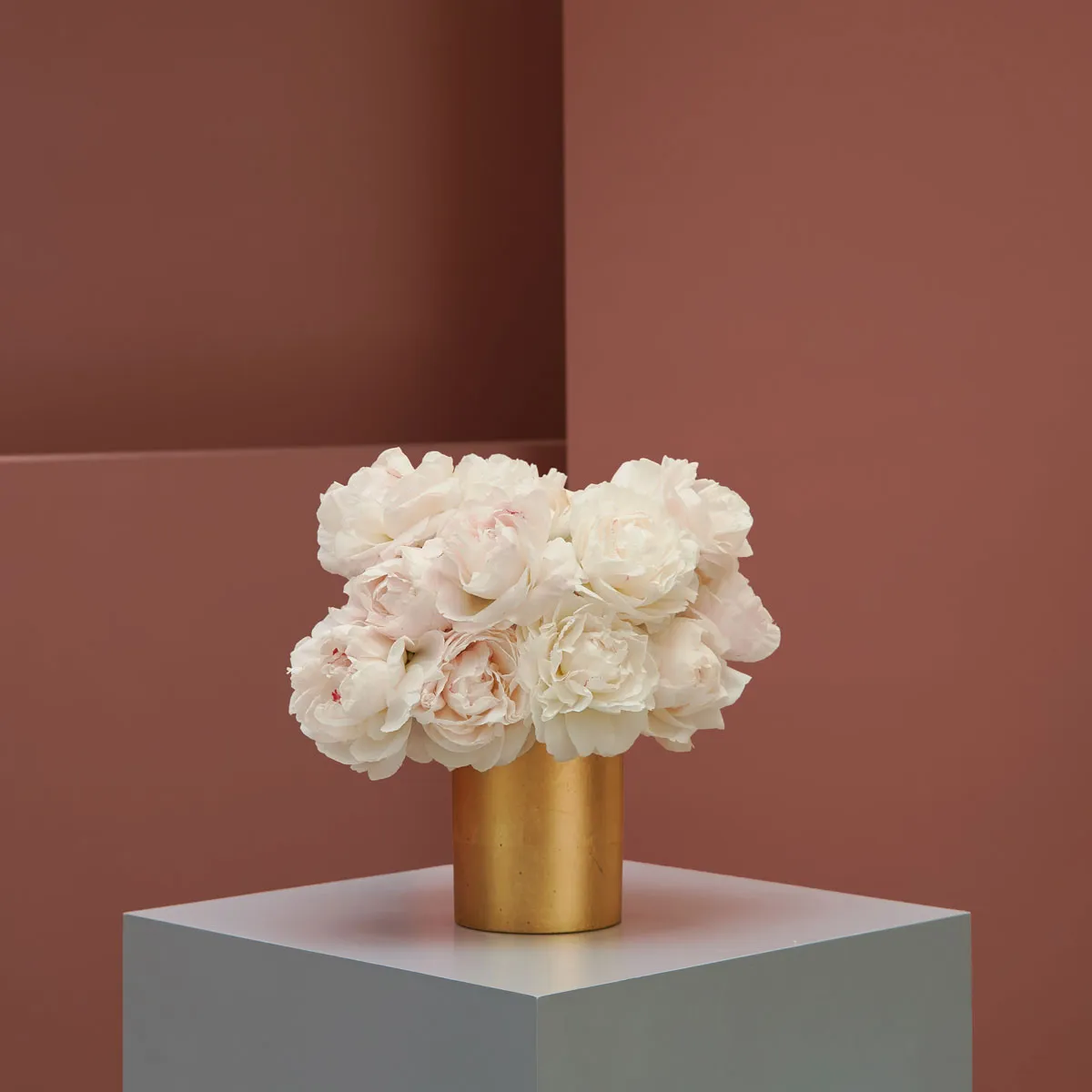 Peony and Gold Peony and Gold