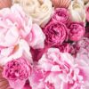Pink Glamour grand JUNE 17 2023 1 Pink Glamour grand JUNE 17 2023 1