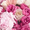 Pink Glamour superb JUNE 17 2023 1 1 Pink Glamour superb JUNE 17 2023 1 1