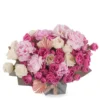 Pink Glamour superb JUNE 17 2023 Pink Glamour superb JUNE 17 2023