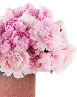 Pink Lovers 2025 2