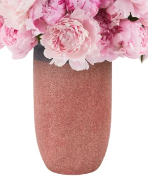 Pink Lovers 2025 4