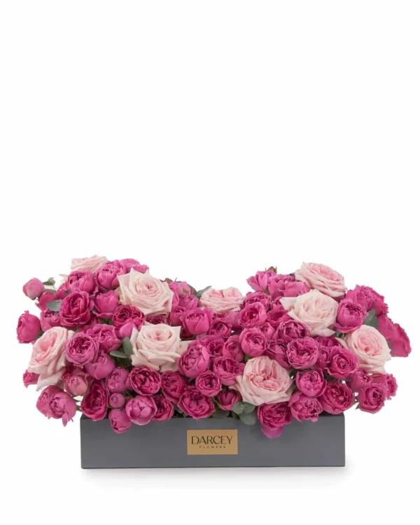 Pink OHara Beauty medium JUNE 19 2023