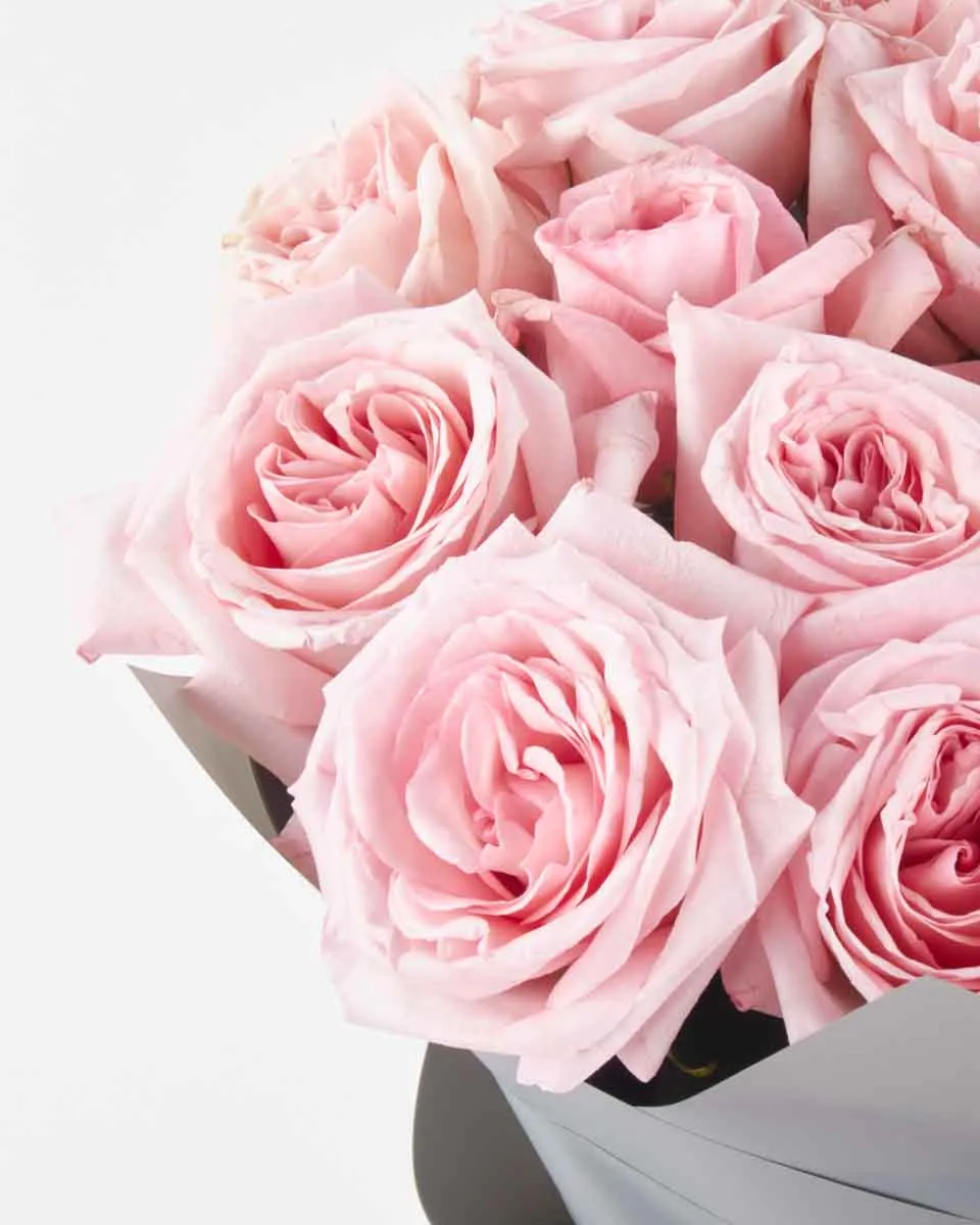 Pink O hara Handtied IMPRESSIVE JUNE 12 2023