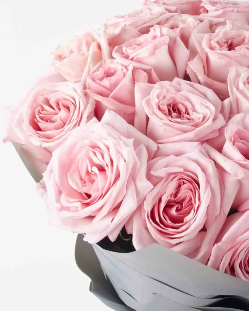 Pink O hara Handtied superb JUNE 12 2023
