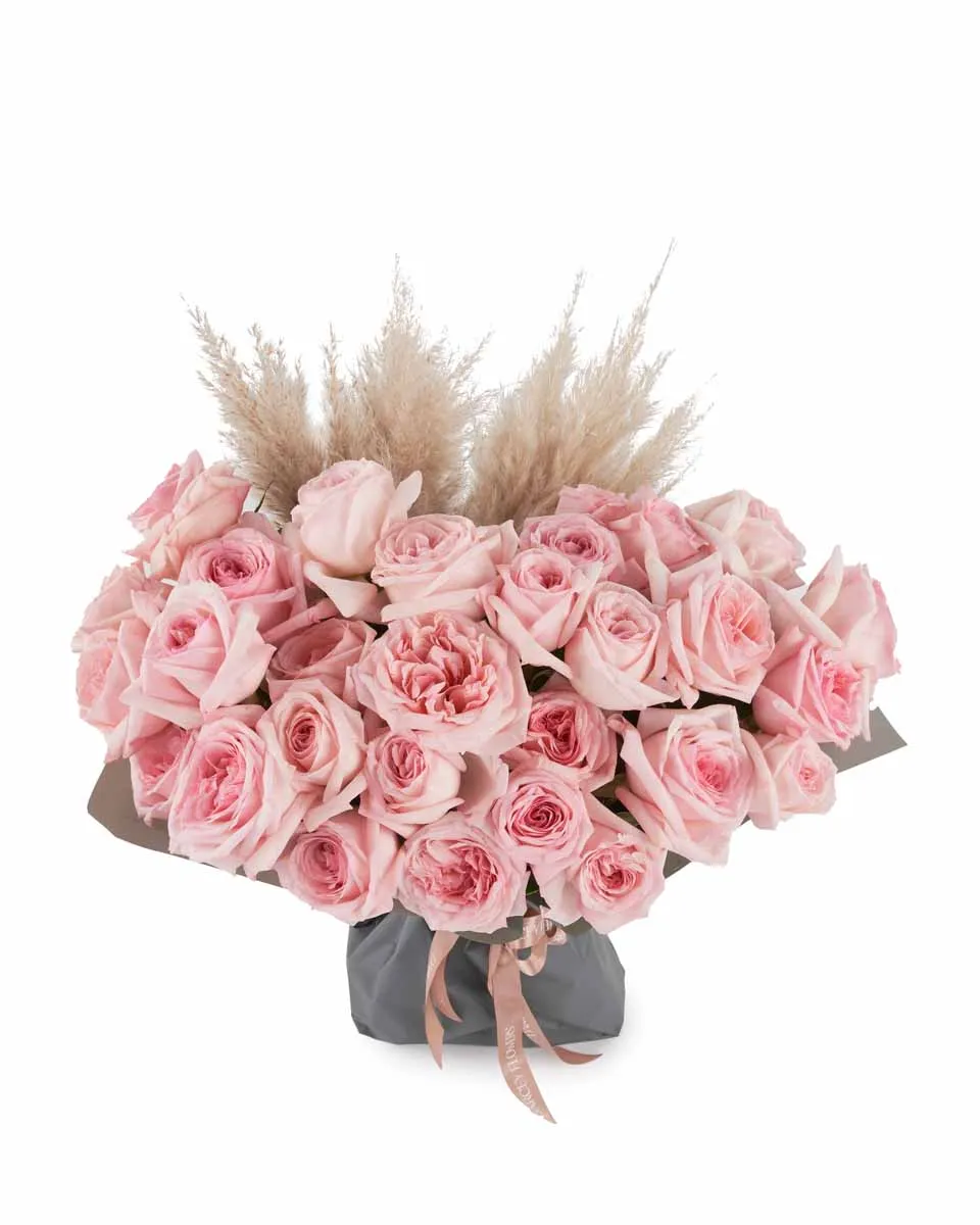 Pink O'hara Love SUPERB Pink O'hara Love SUPERB