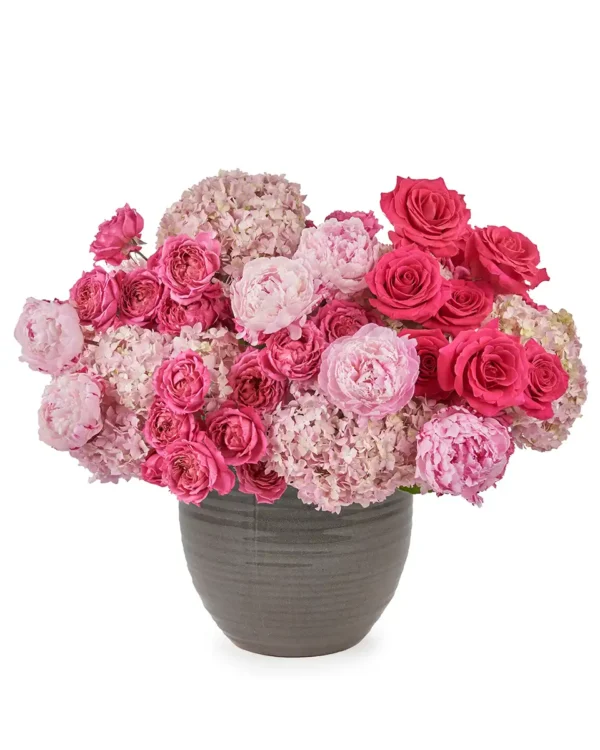 Pink Paradise 30 May 2025
