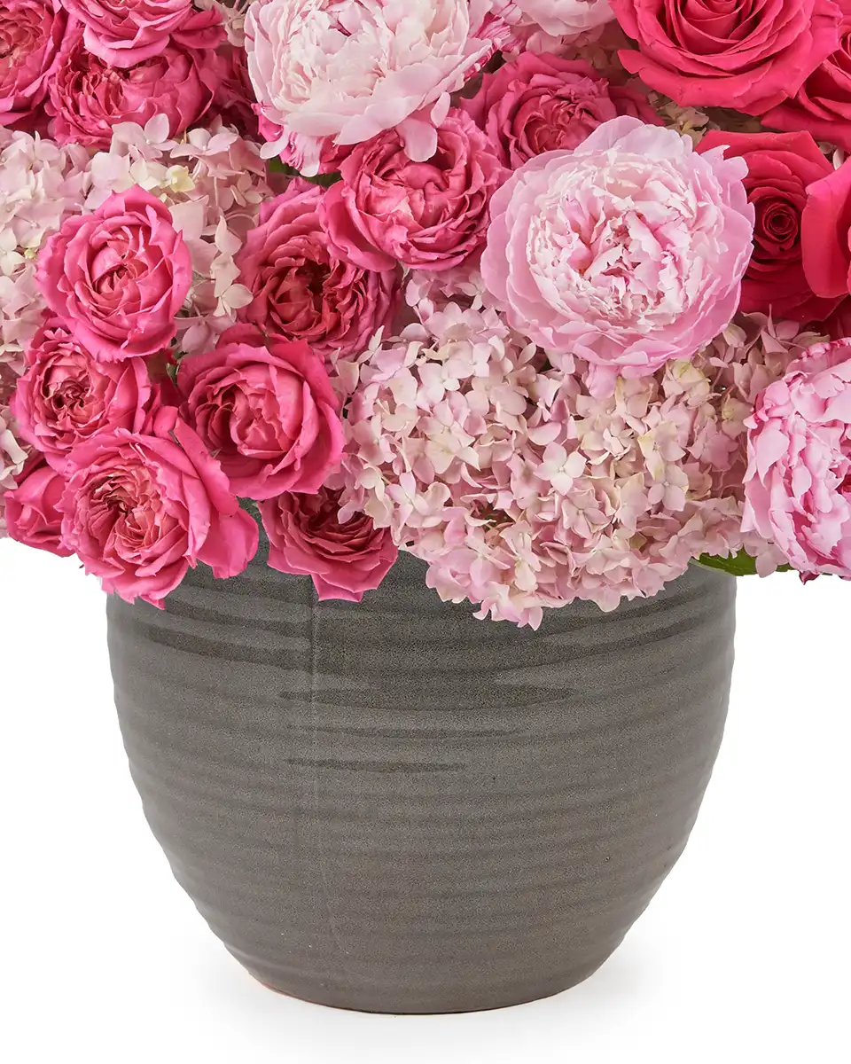 Pink Paradise 30 May 2025 Close Pink Paradise 30 May 2025 Close
