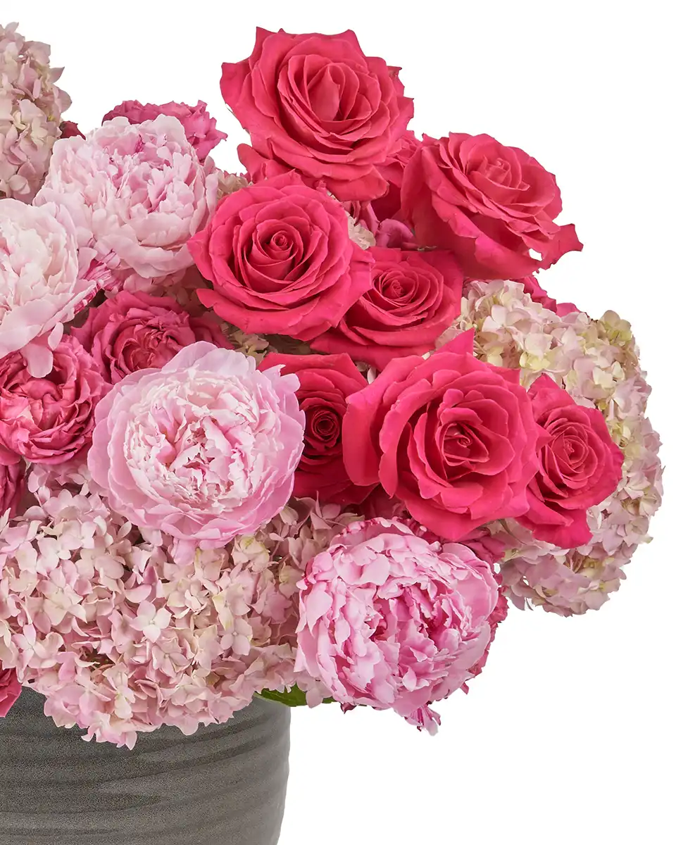 Pink Paradise 30 May 2025 Left Pink Paradise 30 May 2025 Left