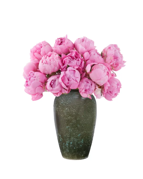 Pink Splendor JUNE 24, 2024