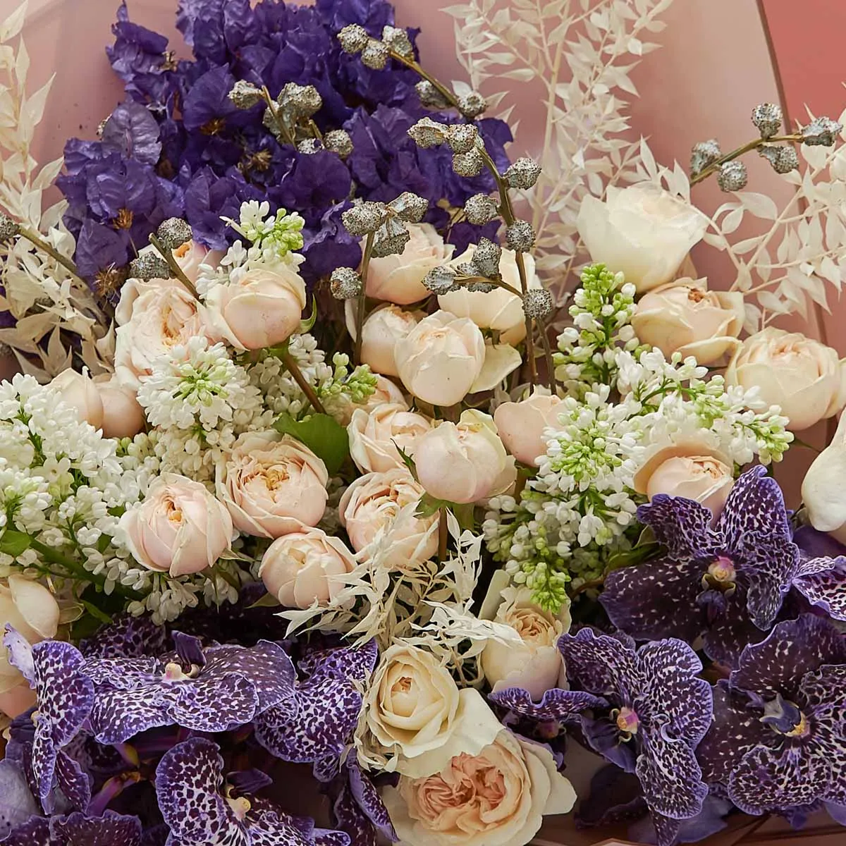 Playful Purple 2 Playful Purple 2