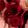 REMEMBER LOVE SUPERB CLOSEUP scaled 1 REMEMBER LOVE SUPERB CLOSEUP scaled 1