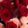 REMEMBER LOVE SUPERB DETAILS scaled 1 REMEMBER LOVE SUPERB DETAILS scaled 1