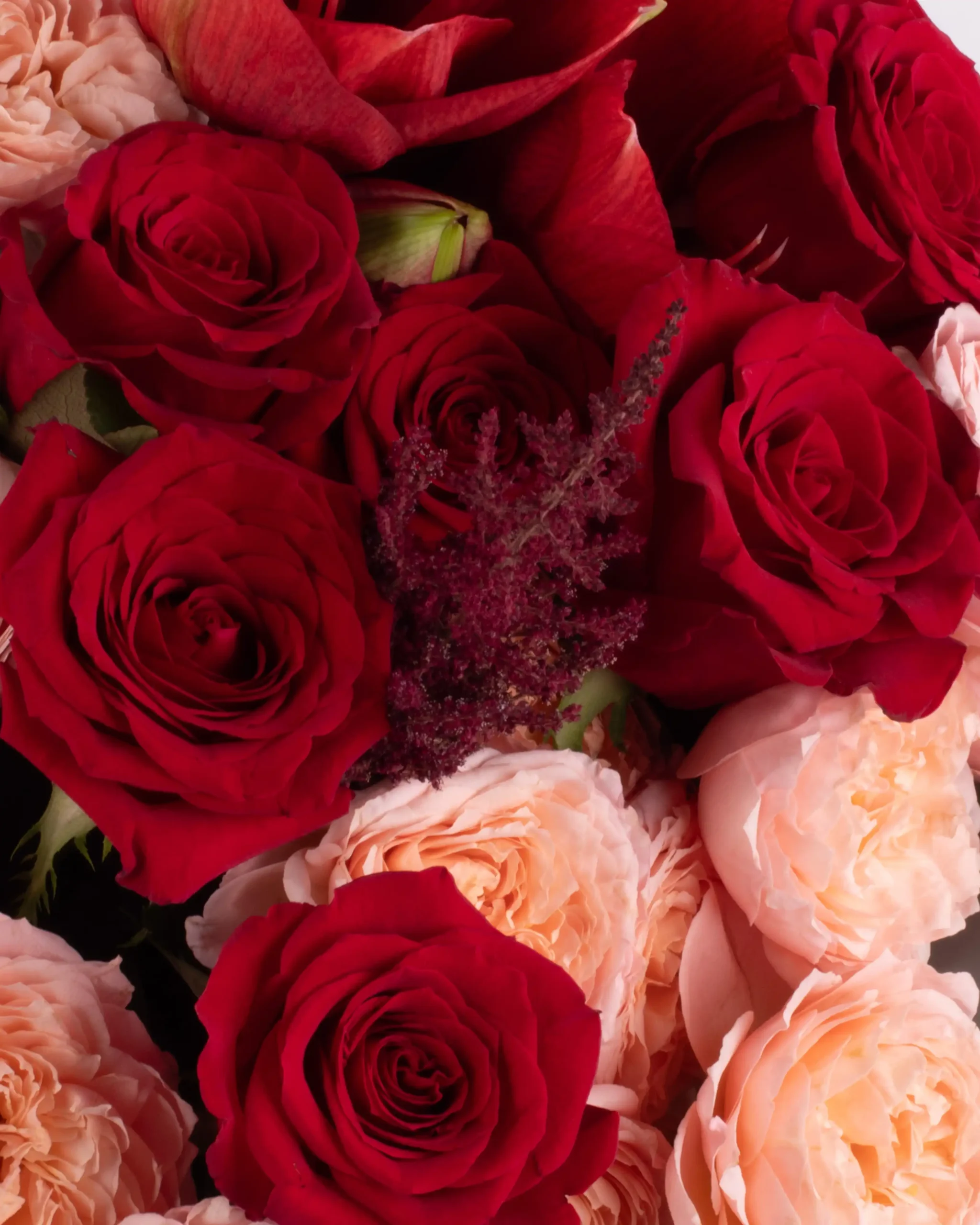 REMEMBER LOVE SUPERB DETAILS scaled 1 REMEMBER LOVE SUPERB DETAILS scaled 1