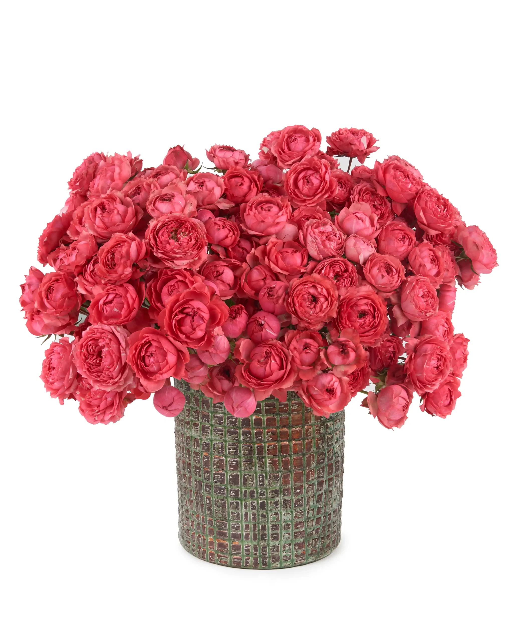 Raspberry Blooms Aug 2025 Raspberry Blooms Aug 2025