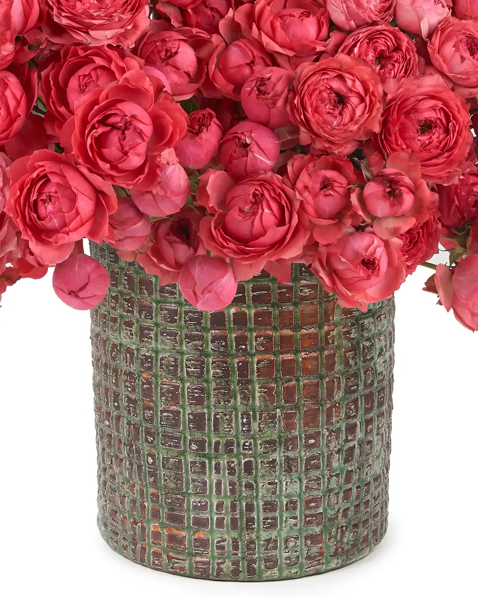 Raspberry Blooms Details Aug 2025 Raspberry Blooms Details Aug 2025