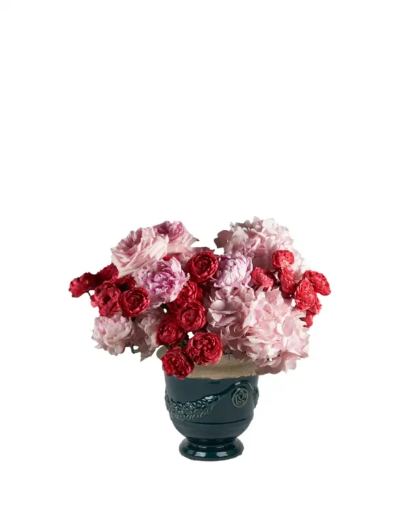 Raspberry Pop Edited