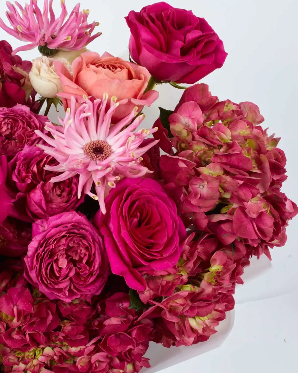 Romantic KissBOQUET JBF 6 SUPERB 2 Romantic KissBOQUET JBF 6 SUPERB 2