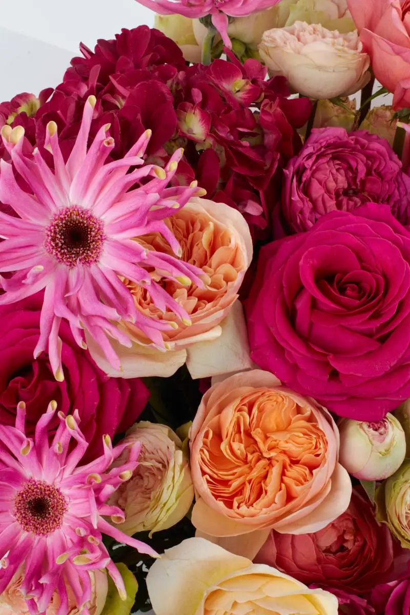 Romantic KissBOQUET JBF 6 SUPERB 3 Romantic KissBOQUET JBF 6 SUPERB 3