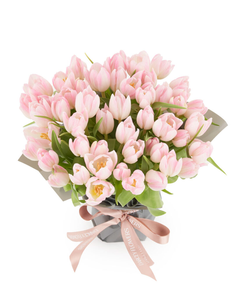 Tulip