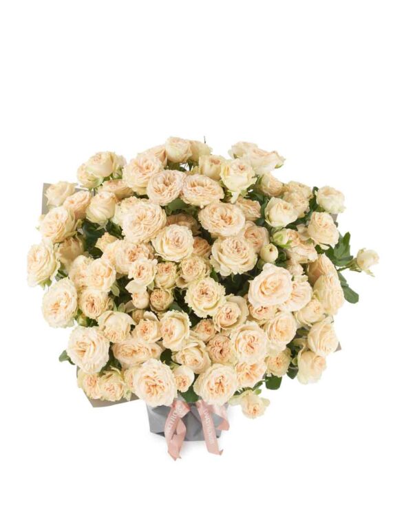 Roselle impressive Aug 29, 2025