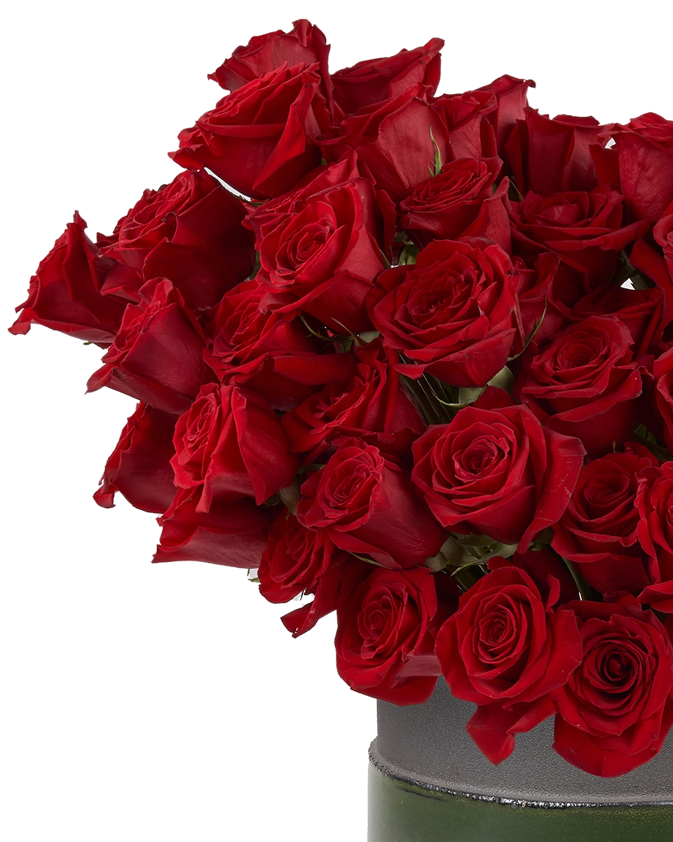 Roses For You EDITED2