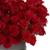 Roses For You EDITED3