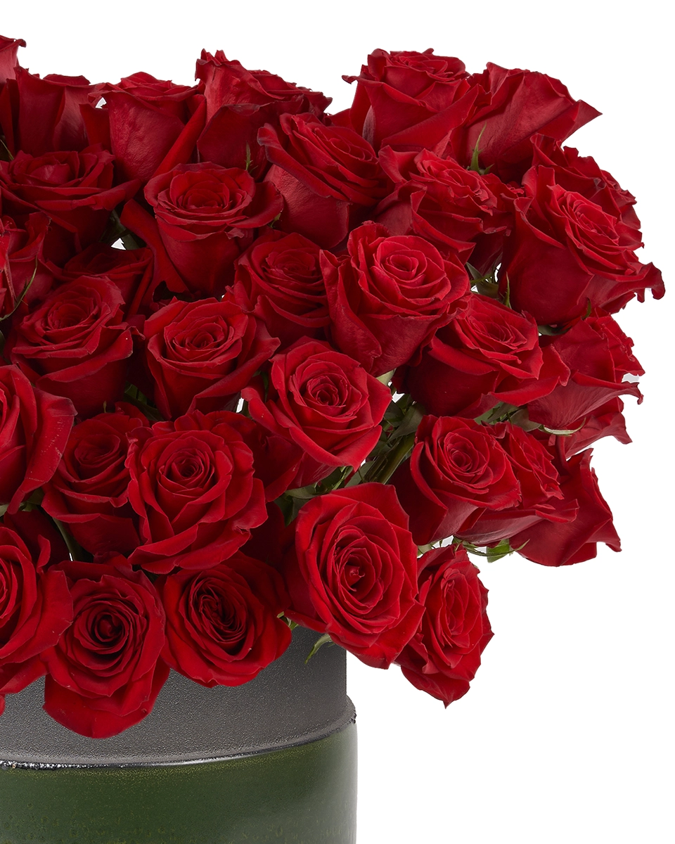 Roses For You EDITED3