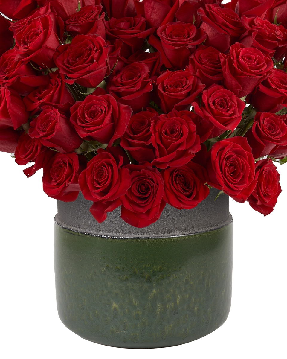 Roses For You EDITED4
