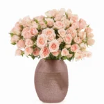 SARAH BABY Pink scaled 1