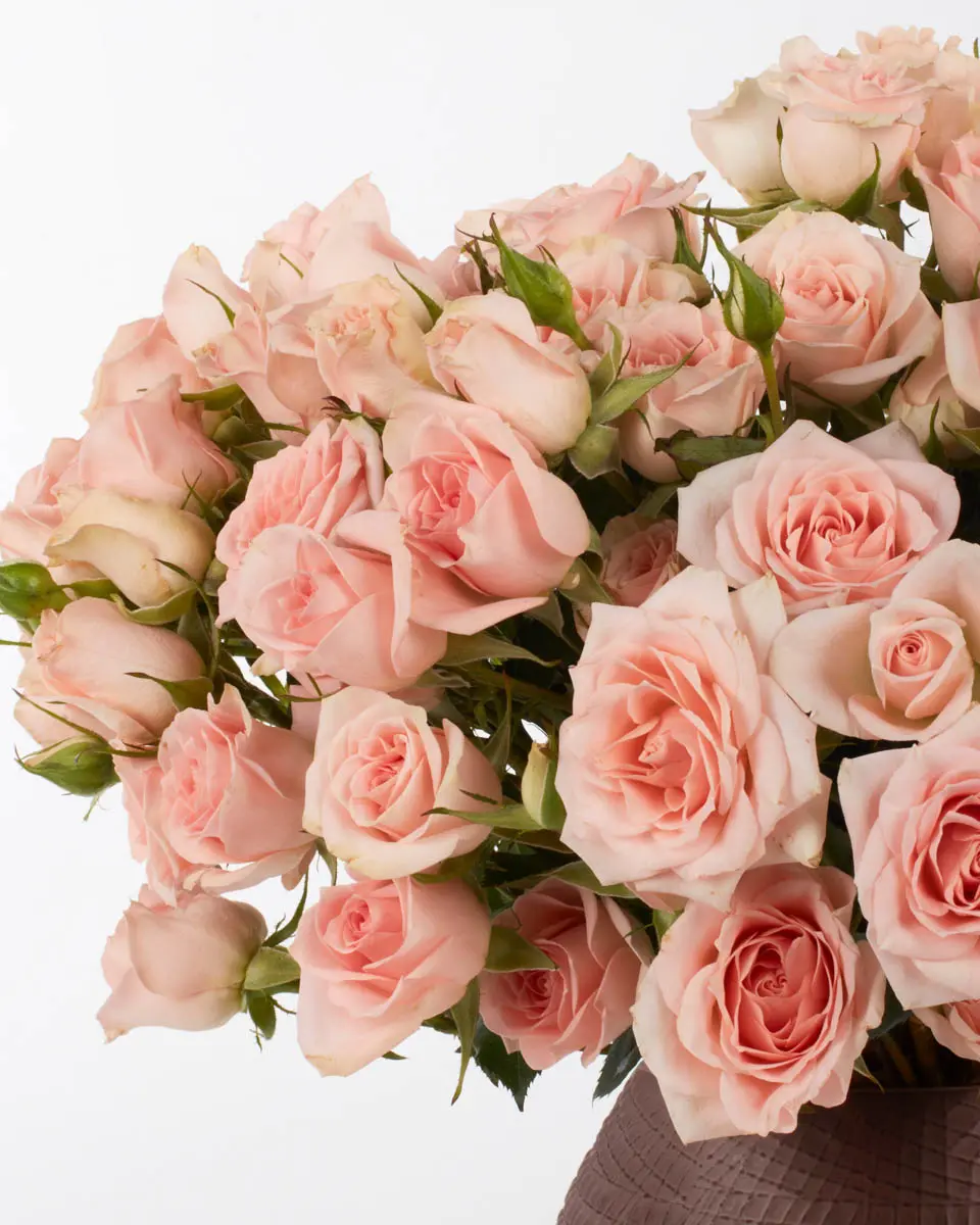 SARAH BABY Pink JUNE 25 2024 2 SARAH BABY Pink JUNE 25 2024 2