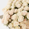 SUPER BUBBLES SUPERB JUNE 6 2023 2 1 SUPER BUBBLES SUPERB JUNE 6 2023 2 1