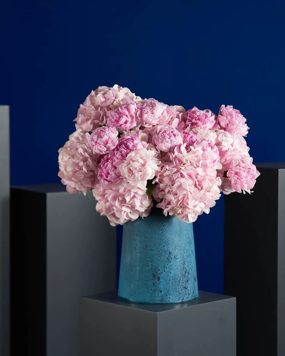SWEET PERFECTION REMOVE ASTILBE SWEET PERFECTION REMOVE ASTILBE