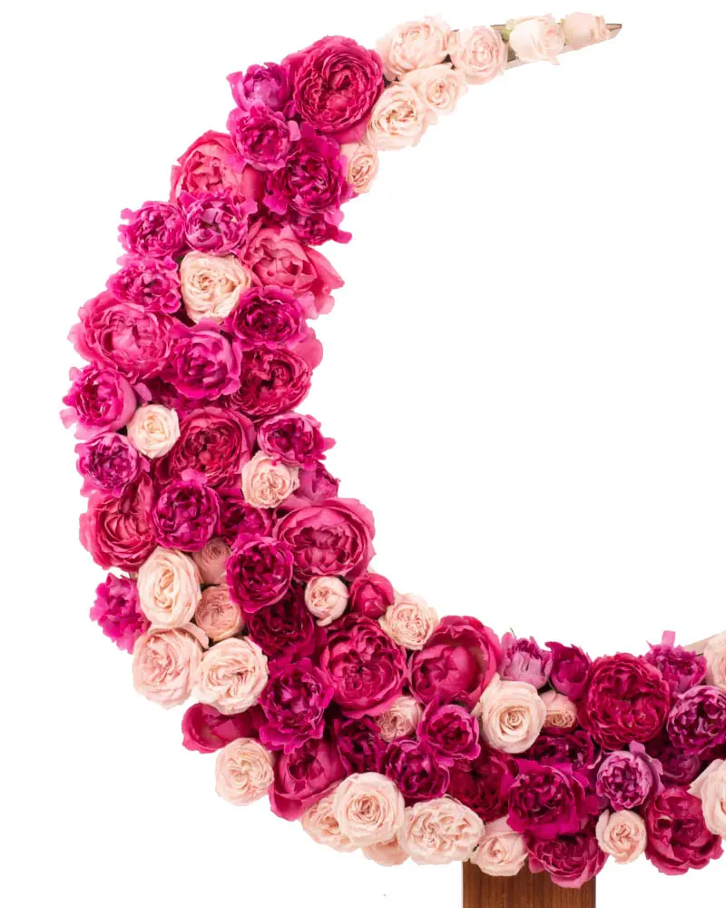 Shades of Pink Crescent IMG 1958 Shades of Pink Crescent IMG 1958
