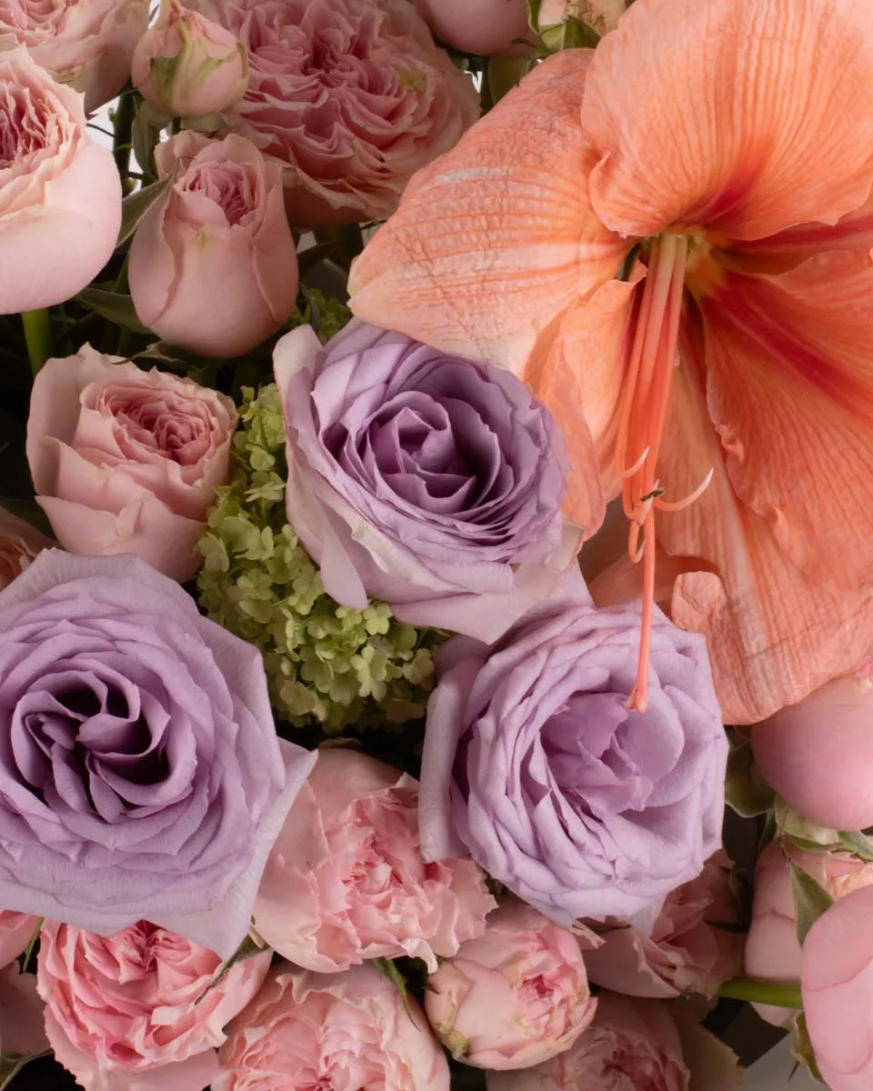 Sweet Lullaby IMPRESSIVE CLOSEUP