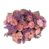 Syringa SalmonIWD B8 TOP ONE SIZE copy