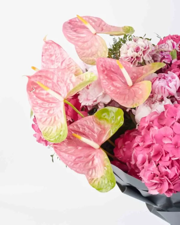 VIBRANT BLOSSOM GRAND 1