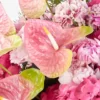 VIBRANT BLOSSOM GRAND 2 VIBRANT BLOSSOM GRAND 2