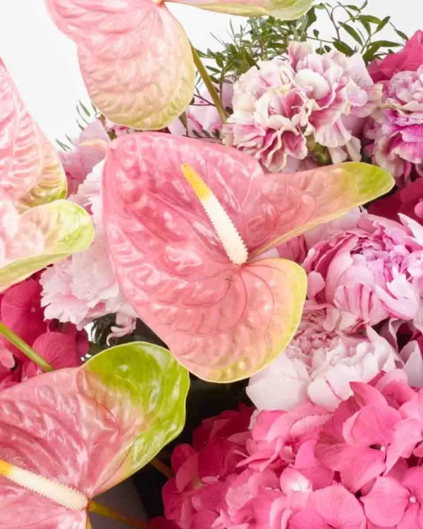 VIBRANT BLOSSOM GRAND 2