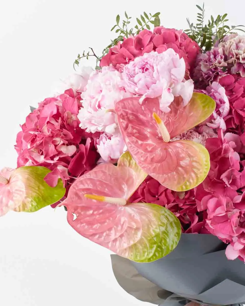 VIBRANT BLOSSOM SUPERB 1 VIBRANT BLOSSOM SUPERB 1