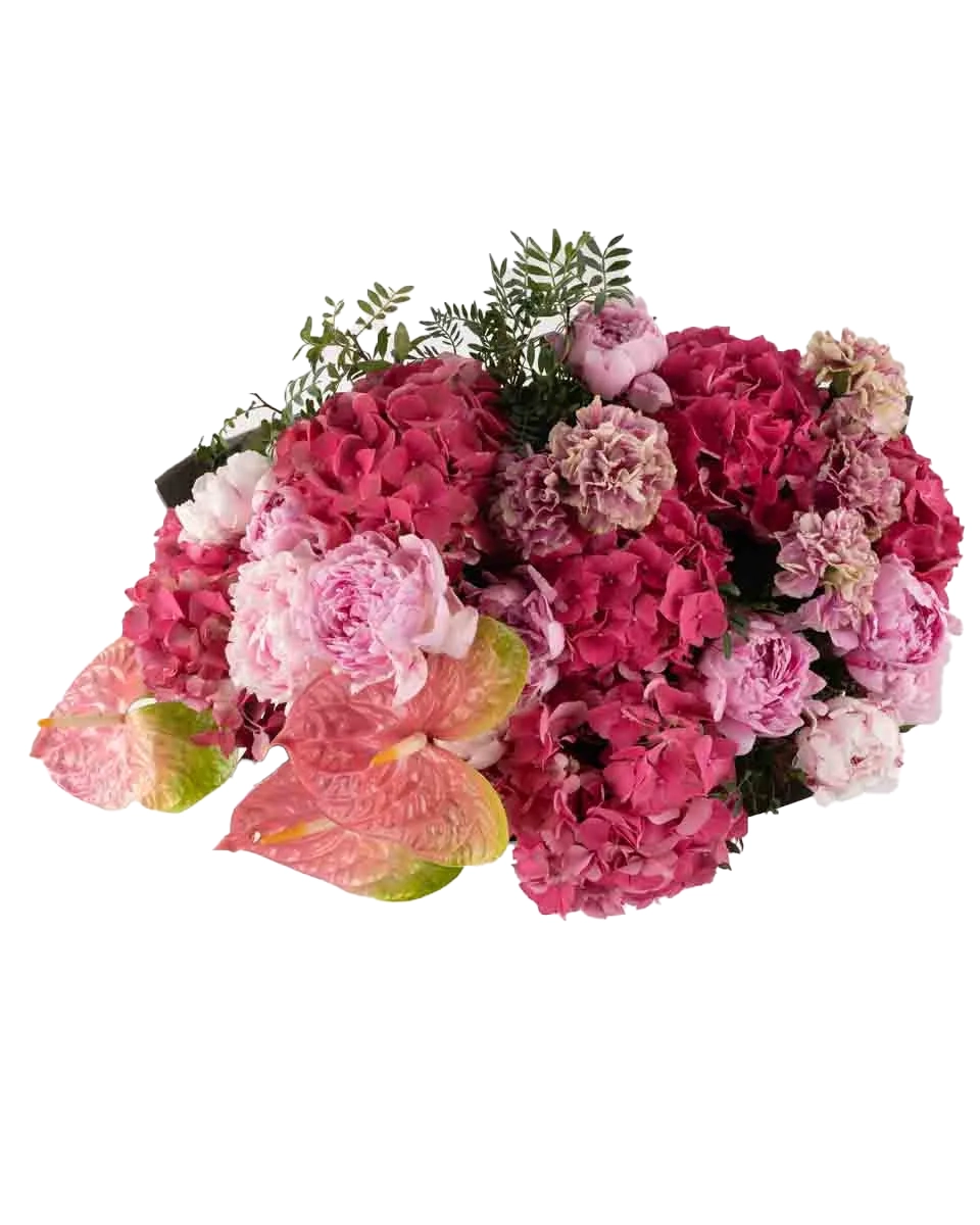 VIBRANT BLOSSOM SUPERB top VIBRANT BLOSSOM SUPERB top