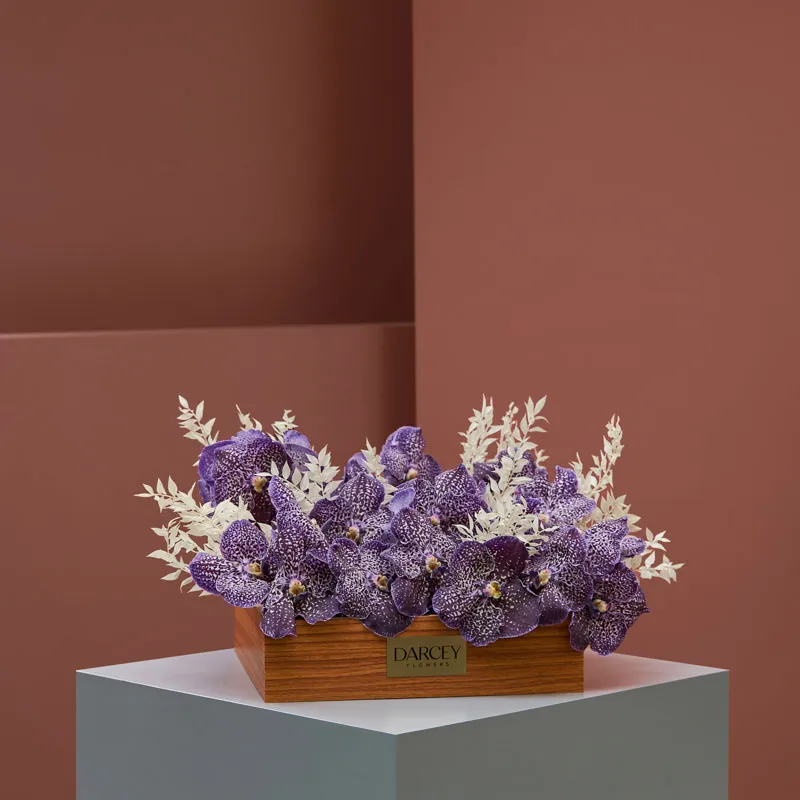 Violet Delight 2 Violet Delight 2